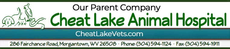 Parent company Cheat Lake Animal Hospital Banner Small